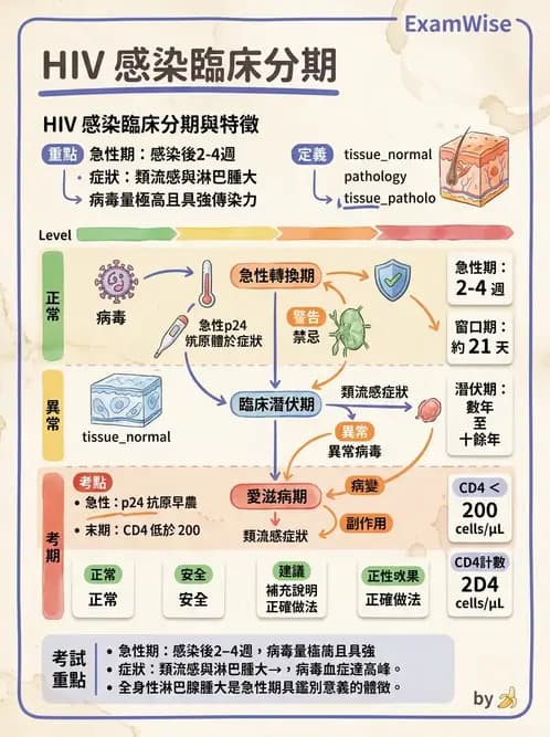 護理師 - 婦科腫瘤與感染 - AI 圖文解析預覽