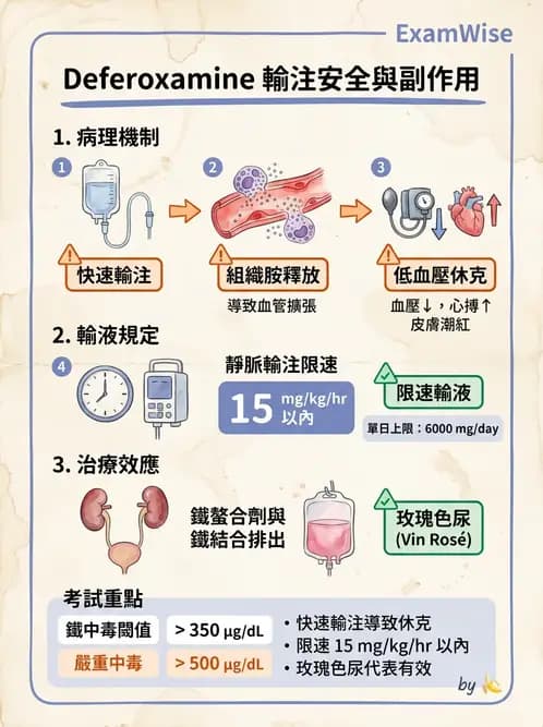 護理師 - 兒童給藥與輸液技術 - AI 圖文解析預覽
