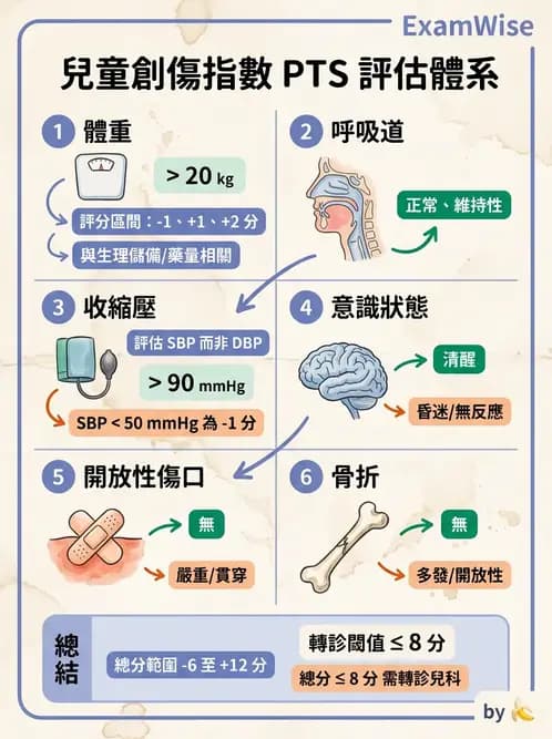 護理師 - 兒童急症與燒傷護理 - AI 圖文解析預覽