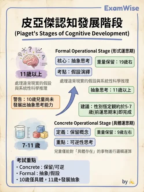 護理師 - 兒童心理社會發展與遊戲 - AI 圖文解析預覽