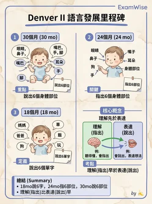 護理師 - 兒童生長發展與評估 - AI 圖文解析預覽