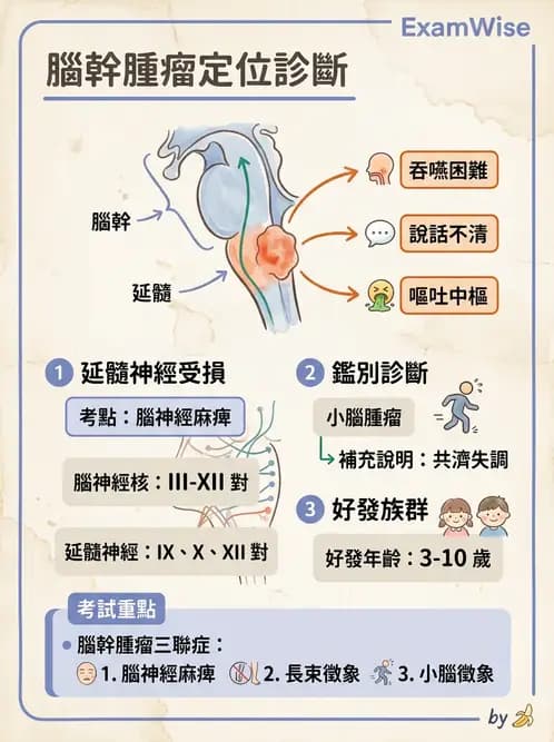護理師 - 兒童神經肌肉骨骼疾病 - AI 圖文解析預覽