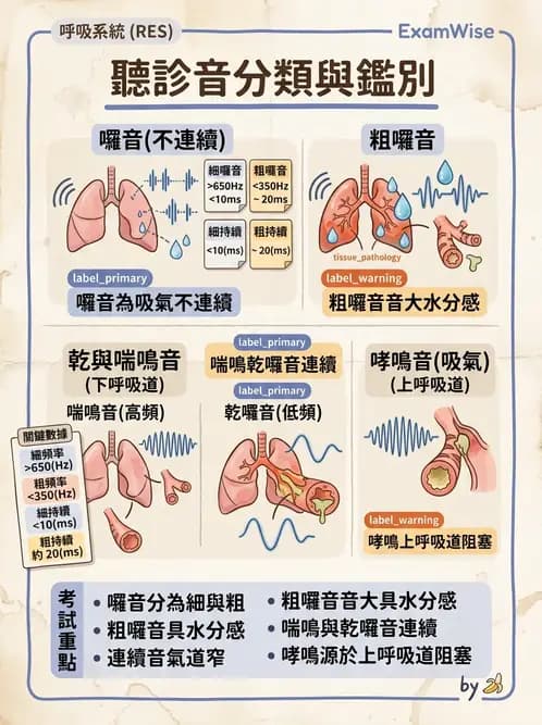 護理師 - 兒童基本護理評估技術 - AI 圖文解析預覽