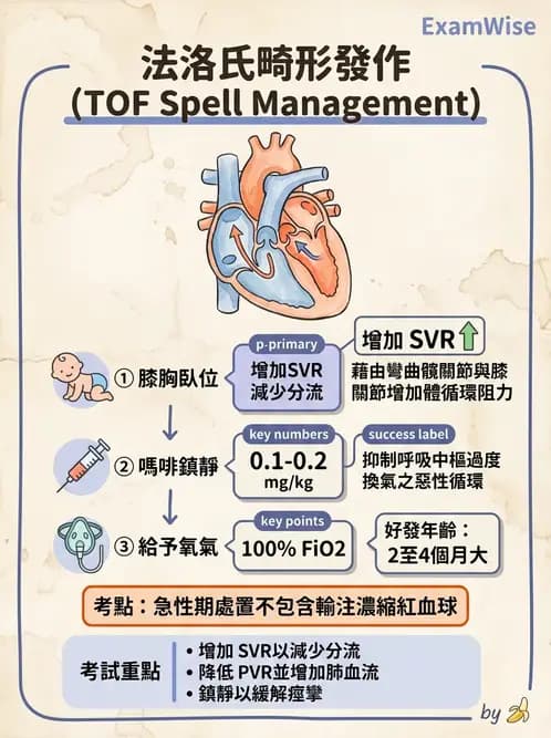 護理師 - 兒童循環系統疾病 - AI 圖文解析預覽