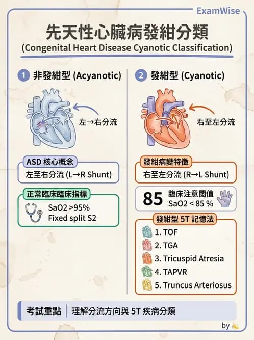 護理師 - 兒童循環系統疾病 - AI 圖文解析預覽