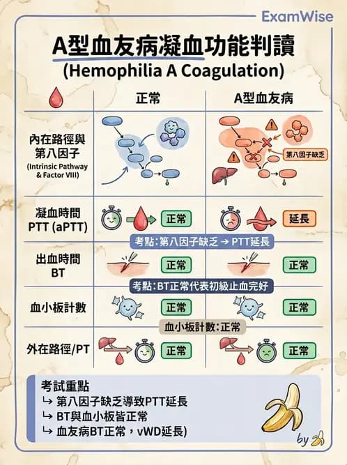 護理師 - 兒童血液與腫瘤疾病 - AI 圖文解析預覽