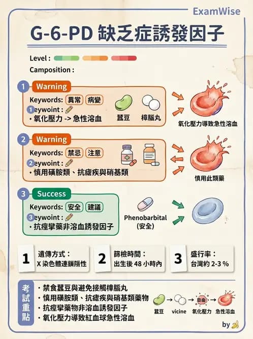 護理師 - 兒童內分泌與代謝疾病 - AI 圖文解析預覽