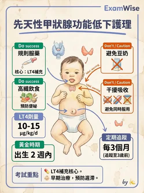 護理師 - 兒童內分泌與代謝疾病 - AI 圖文解析預覽