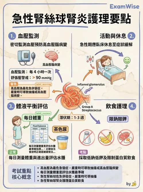 護理師 - 兒童泌尿系統疾病 - AI 圖文解析預覽