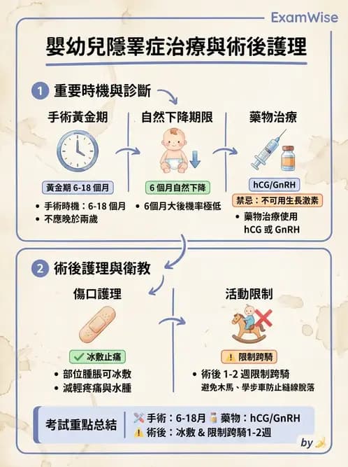 護理師 - 兒童泌尿系統疾病 - AI 圖文解析預覽
