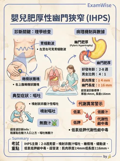 護理師 - 兒童消化系統疾病 - AI 圖文解析預覽