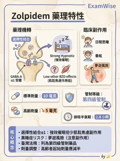 護理師 - 精神科藥物與生物治療 - AI 圖文解析預覽