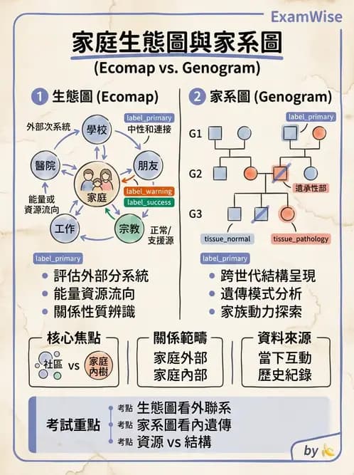 護理師 - 個案管理與照護評估 - AI 圖文解析預覽