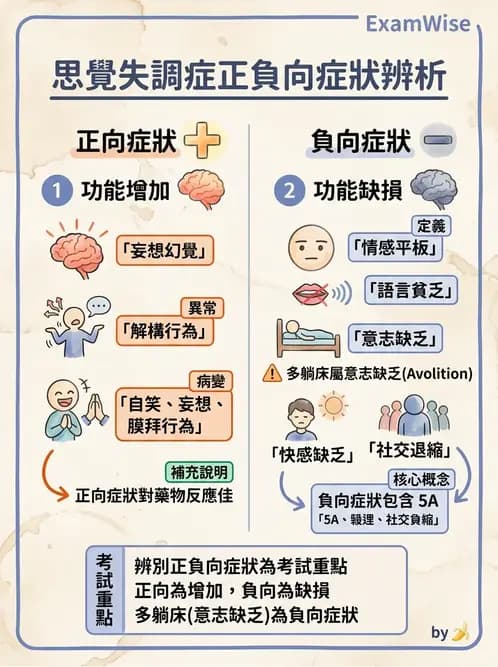 護理師 - 思覺失調症護理 - AI 圖文解析預覽