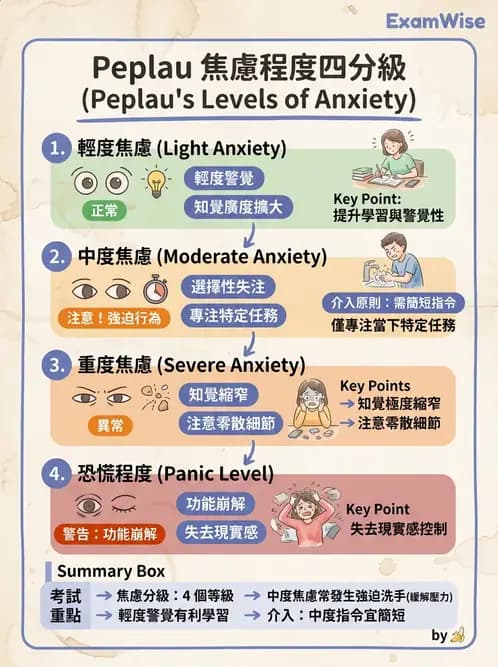 護理師 - 焦慮症與壓力相關障礙 - AI 圖文解析預覽
