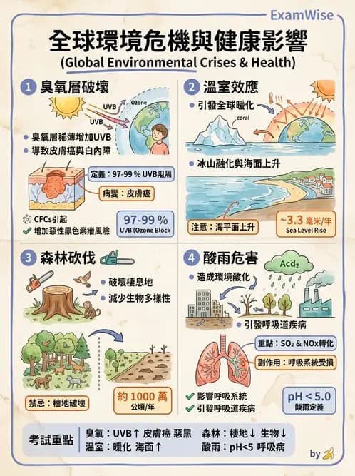 護理師 - 環境衛生與護理 - AI 圖文解析預覽