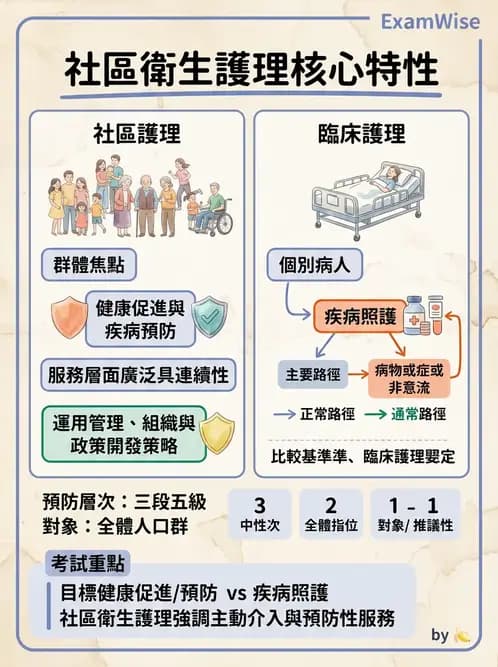 護理師 - 健康照護體系與健康政策 - AI 圖文解析預覽