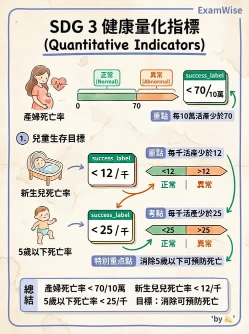 護理師 - 健康照護體系與健康政策 - AI 圖文解析預覽