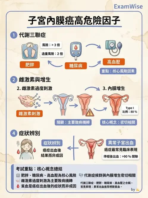 護理師 - 女性生殖系統及乳房 - AI 圖文解析預覽