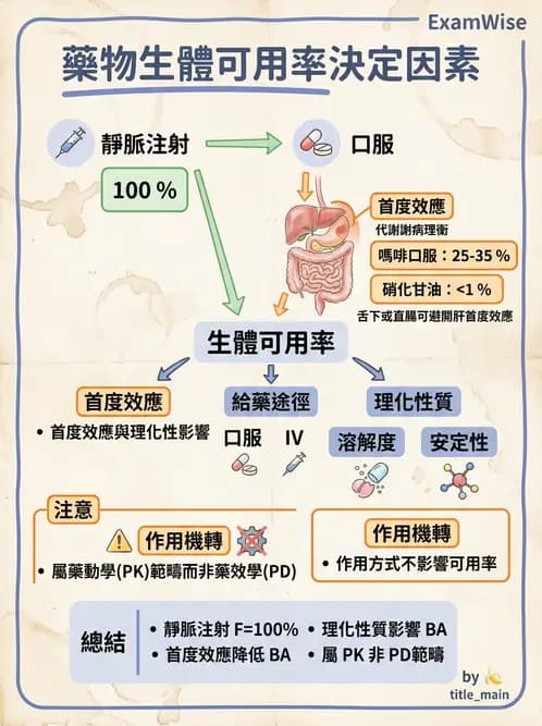 護理師 - 藥理學的一般概念 - AI 圖文解析預覽