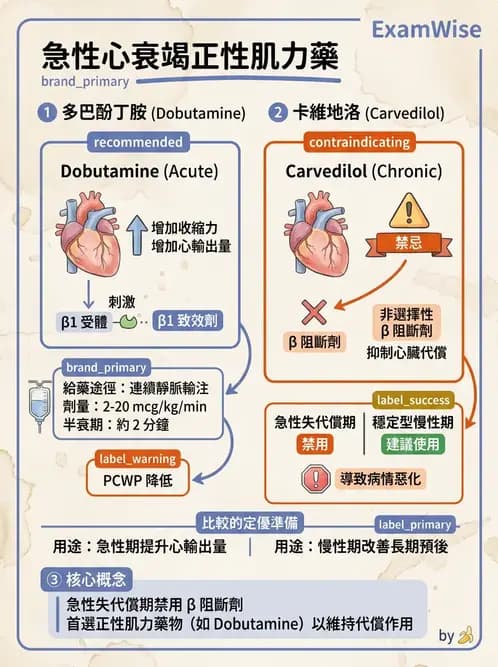 護理師 - 自主神經系統作用藥物 - AI 圖文解析預覽