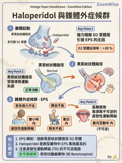 護理師 - 精神科藥物 - AI 圖文解析預覽