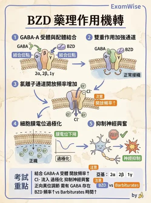 護理師 - 精神科藥物 - AI 圖文解析預覽