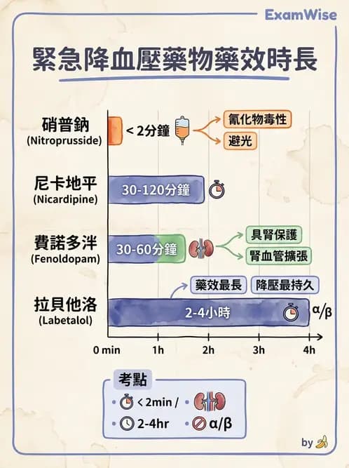 護理師 - 抗高血壓與血管藥物 - AI 圖文解析預覽