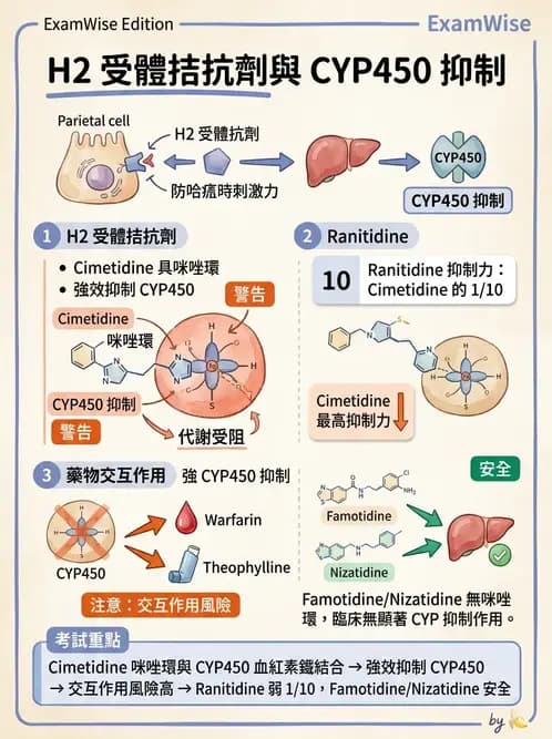 護理師 - 呼吸道及胃腸道作用藥物 - AI 圖文解析預覽