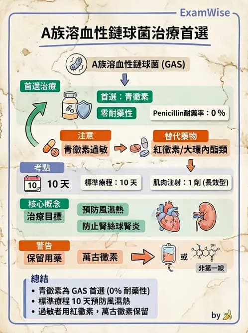 護理師 - 革蘭氏陽性細菌 - AI 圖文解析預覽