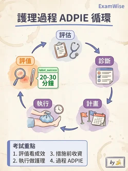 護理師 - 護理過程(評估至評值) - AI 圖文解析預覽