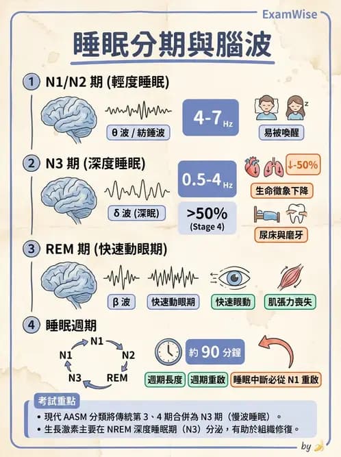 護理師 - 個人衛生與舒適照護 - AI 圖文解析預覽
