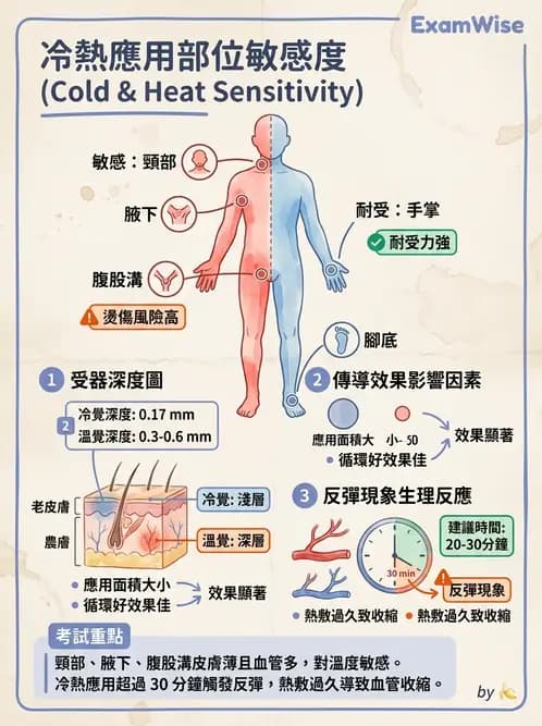 護理師 - 冷熱療法 - AI 圖文解析預覽