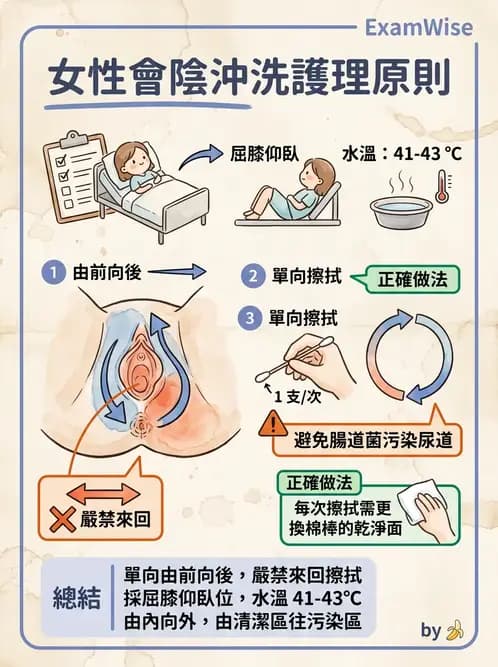 護理師 - 個人衛生與舒適照護 - AI 圖文解析預覽