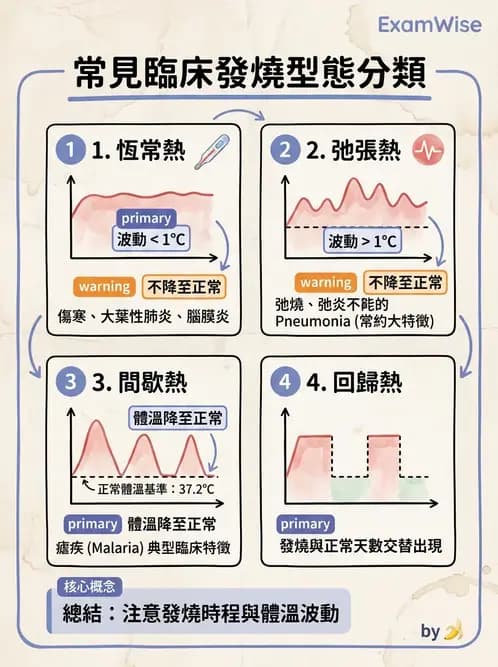 護理師 - 體溫與呼吸評估 - AI 圖文解析預覽