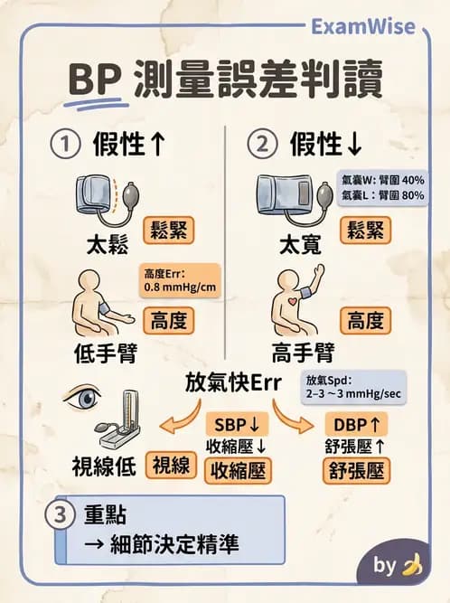 護理師 - 循環評估(脈搏與血壓) - AI 圖文解析預覽