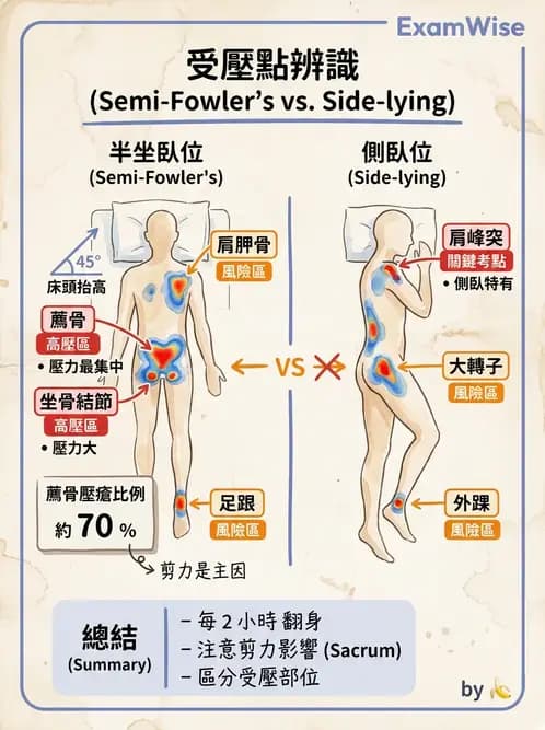 護理師 - 體位擺位與安全照護 - AI 圖文解析預覽