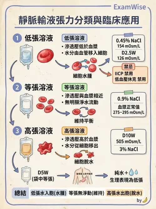 護理師 - 靜脈輸液與電解質平衡 - AI 圖文解析預覽