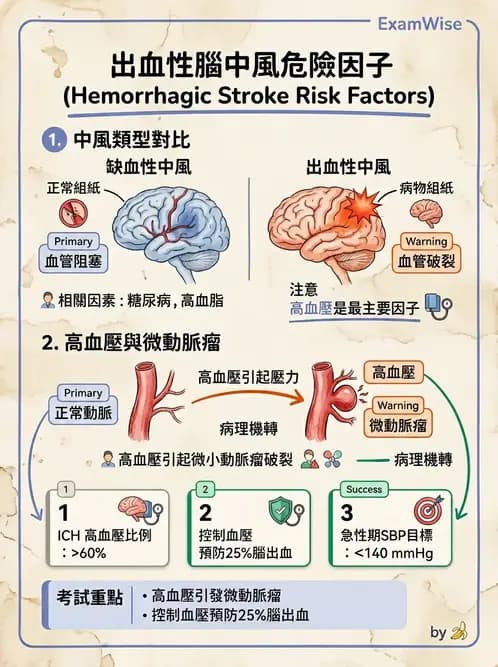護理師 - 腦中風與腦血管疾病 - AI 圖文解析預覽