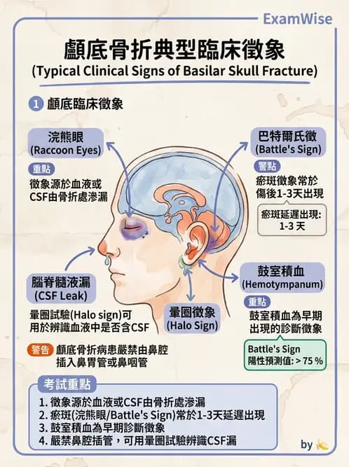 護理師 - 顱內壓升高與頭部外傷 - AI 圖文解析預覽