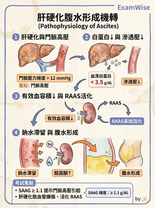 護理師 - 肝膽胰疾病 - AI 圖文解析預覽