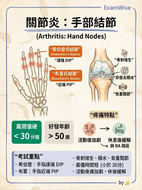 護理師 - 關節疾病與骨科手術 - AI 圖文解析預覽
