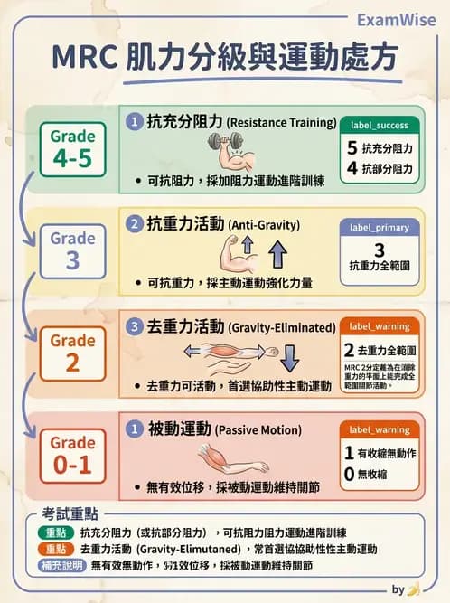 護理師 - 骨折與牽引護理 - AI 圖文解析預覽