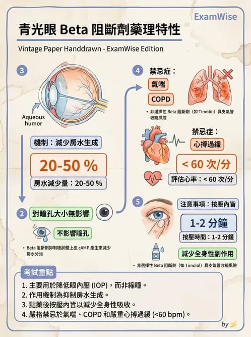 護理師 - 眼科疾病 - AI 圖文解析預覽