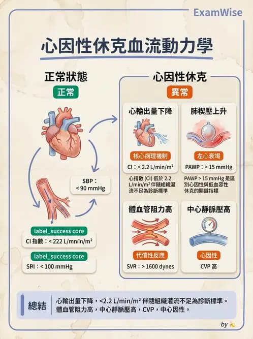 護理師 - 休克與敗血症護理 - AI 圖文解析預覽