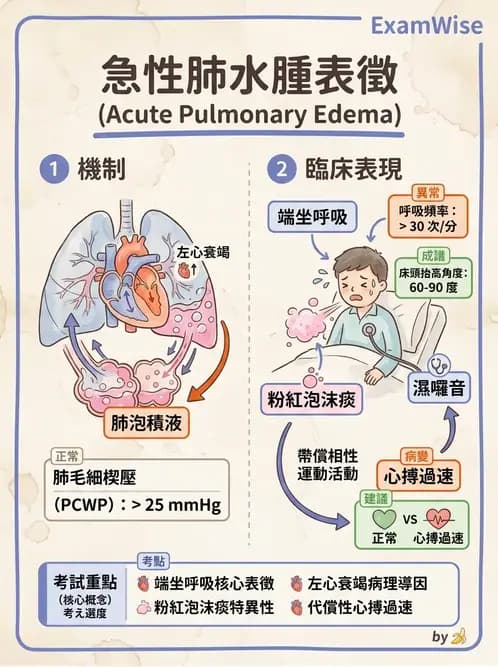 護理師 - 心臟衰竭與心律不整 - AI 圖文解析預覽