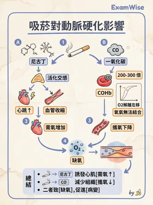 護理師 - 高血壓與周邊血管疾病 - AI 圖文解析預覽