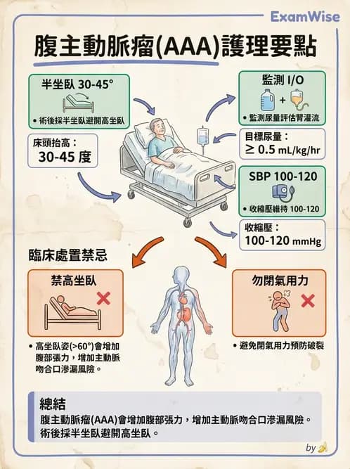 護理師 - 高血壓與周邊血管疾病 - AI 圖文解析預覽