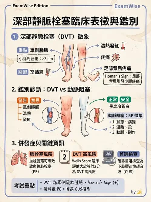 護理師 - 高血壓與周邊血管疾病 - AI 圖文解析預覽