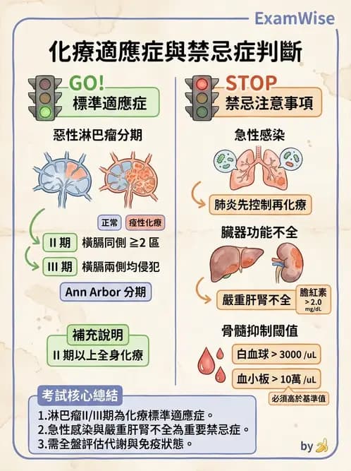 護理師 - 化療護理 - AI 圖文解析預覽